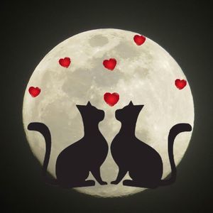 Meet your Posher, Freddie